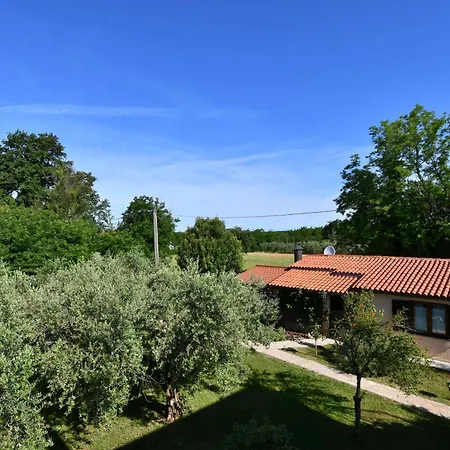 House Ariella Umag