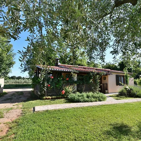 Prázdninový dům House Ariella *