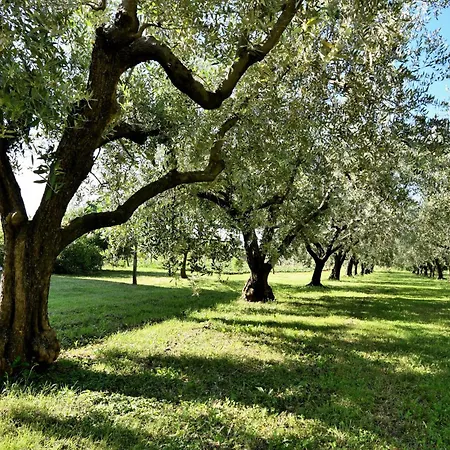 Semesterbostad House Ariella Umag